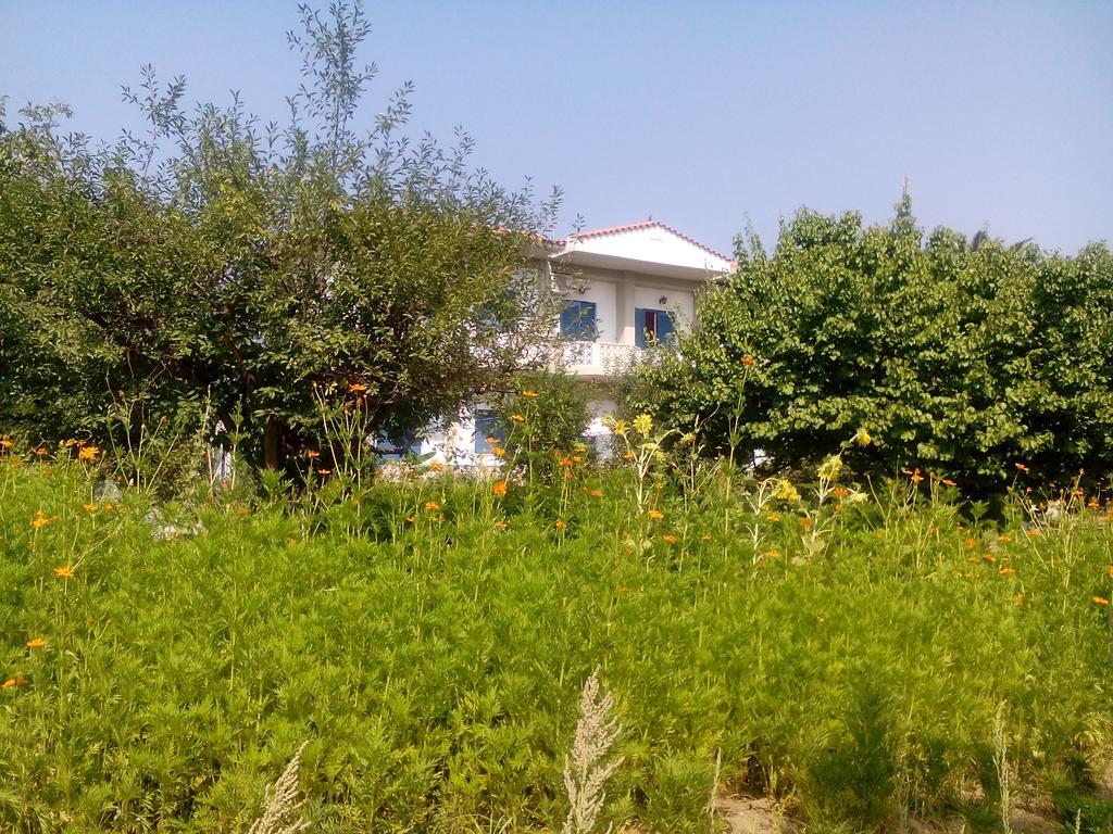 Guesthouse Karidia Skala Eresou Bagian luar foto