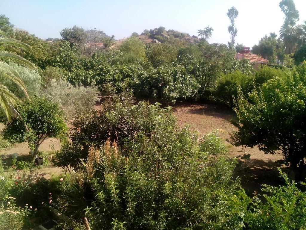 Guesthouse Karidia Skala Eresou Bagian luar foto