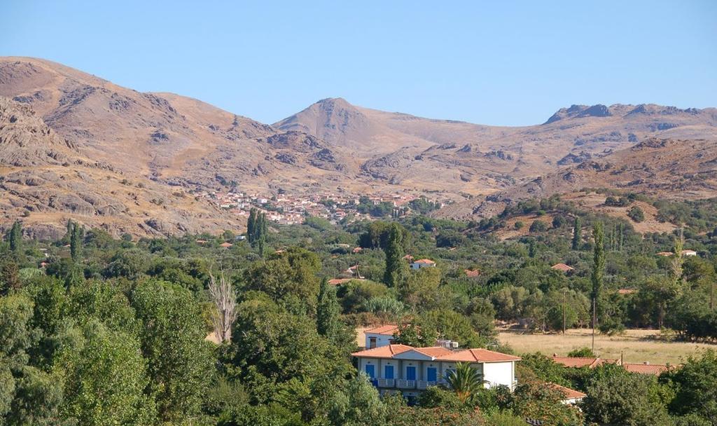 Guesthouse Karidia Skala Eresou Bagian luar foto